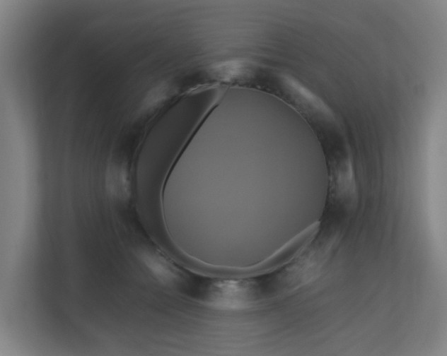 X0000110990558200906261452