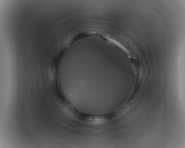 X0000110990559200906261452
