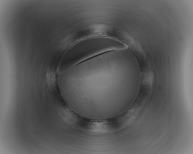 X0000110990560200906261452