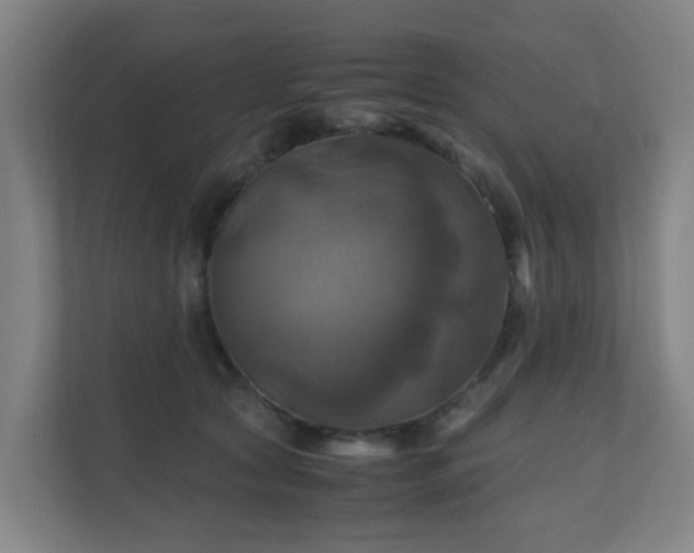 X0000110990561200906261452