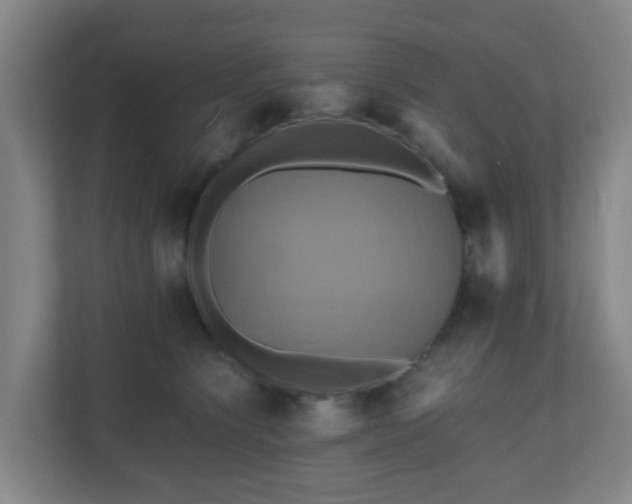 X0000110990564200906261452