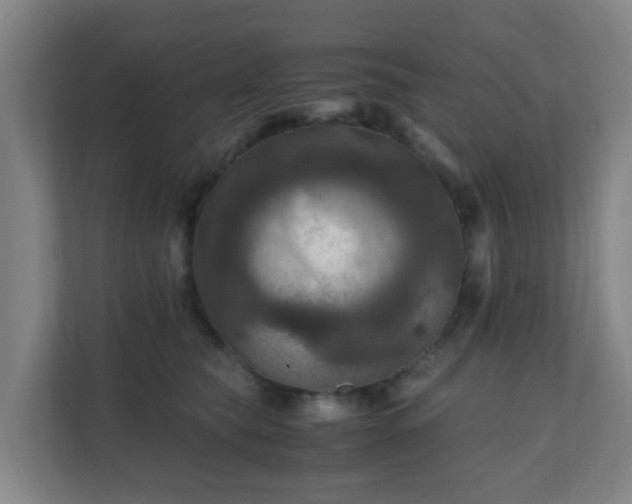 X0000110990565200906261452