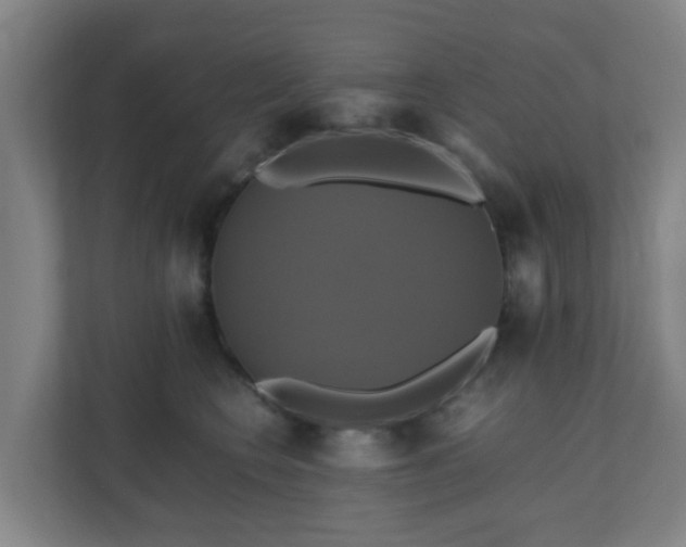 X0000110990566200906261452