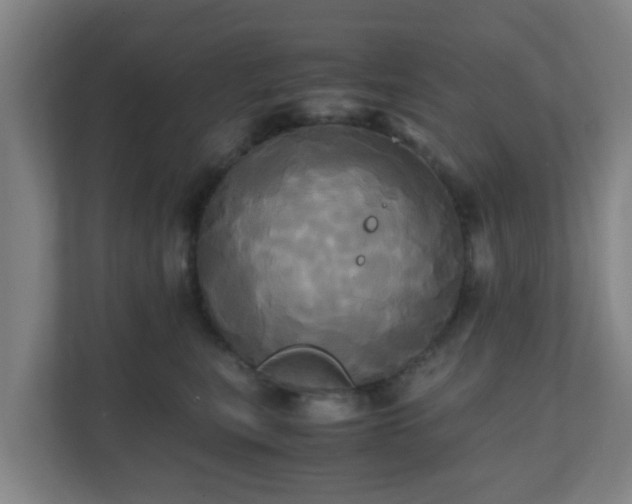 X0000110990567200906261452