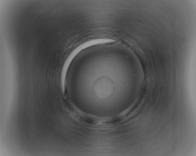 X0000110990568200906261452