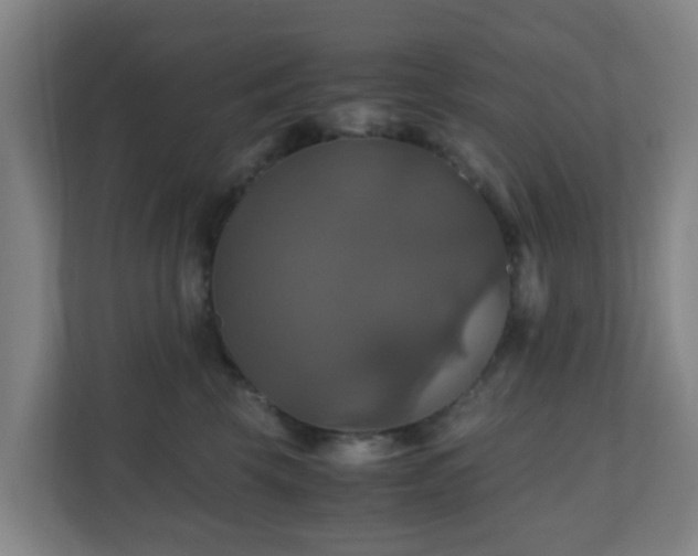 X0000110990569200906261452
