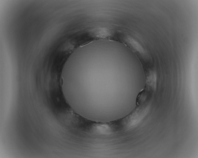X0000110990572200906261452