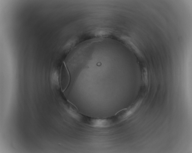 X0000110990575200906261452