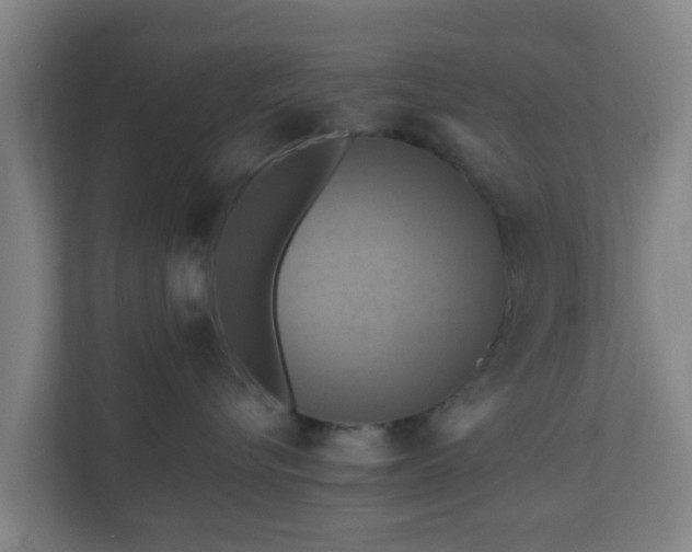 X0000110990576200906261452