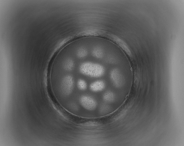 X0000110990578200906261451