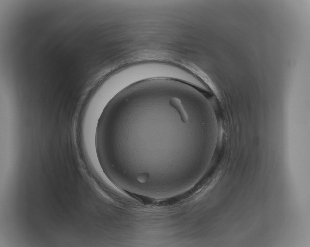 X0000110990581200906261451