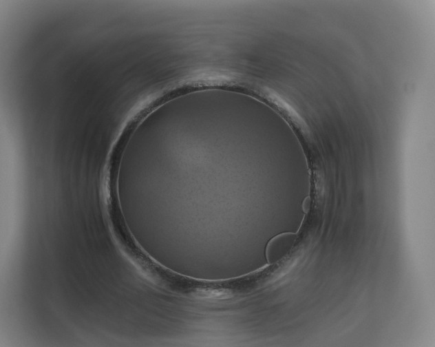X0000110990582200906261451