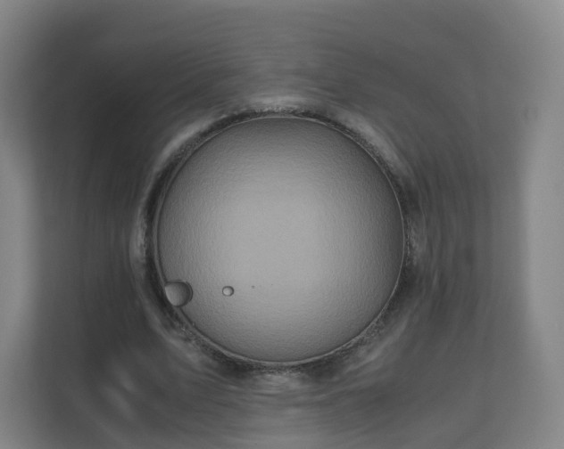 X0000110990583200906261451