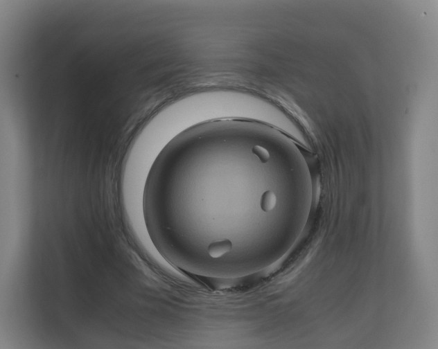X0000110990585200906261451