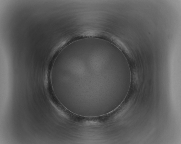 X0000110990586200906261451
