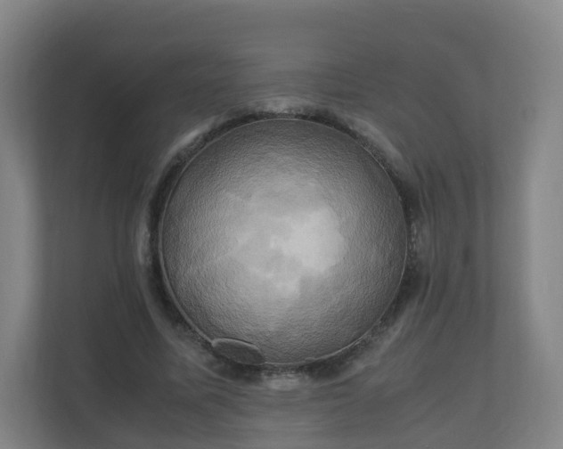 X0000110990587200906261451