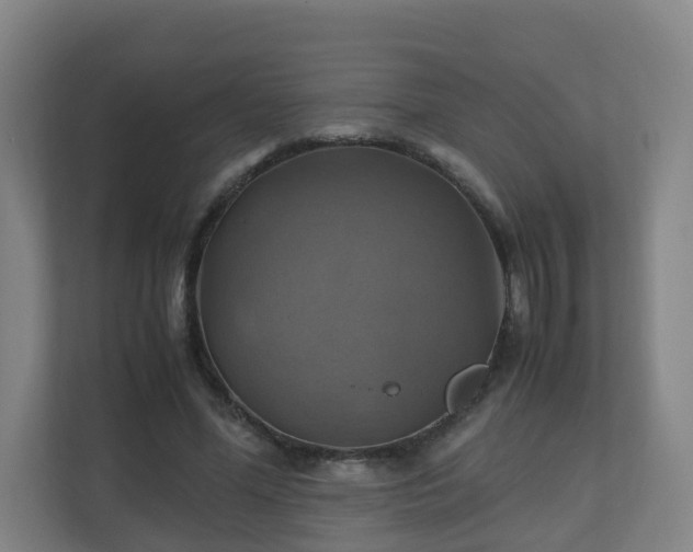 X0000110990588200906261451