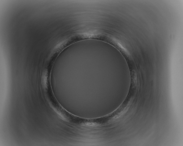 X0000110990590200906261451