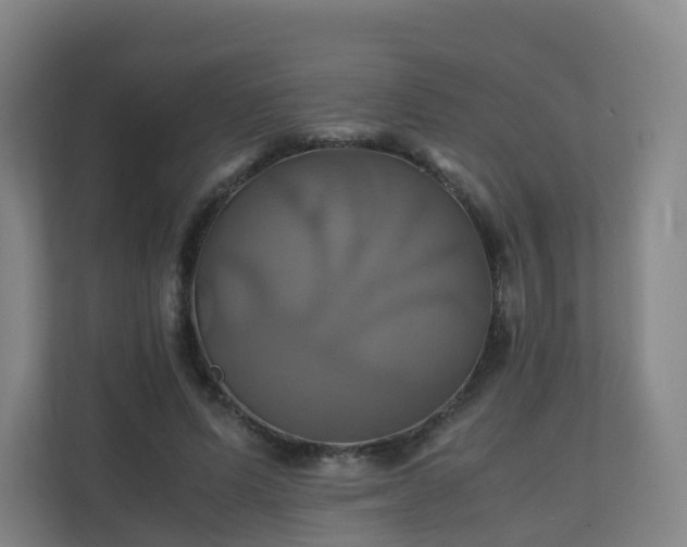 X0000110990591200906261451