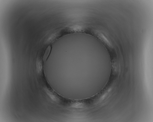X0000110990593200906261451