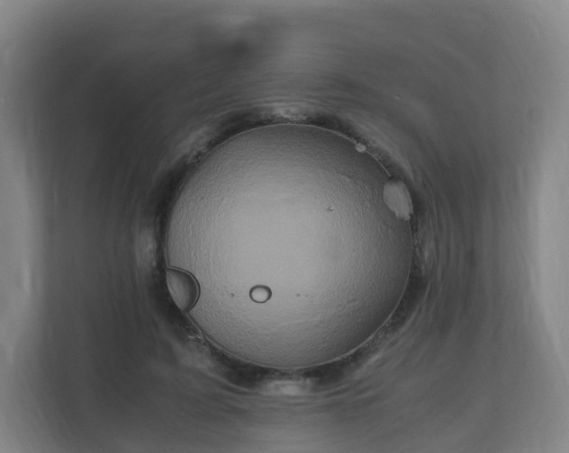 X0000110990595200906261451