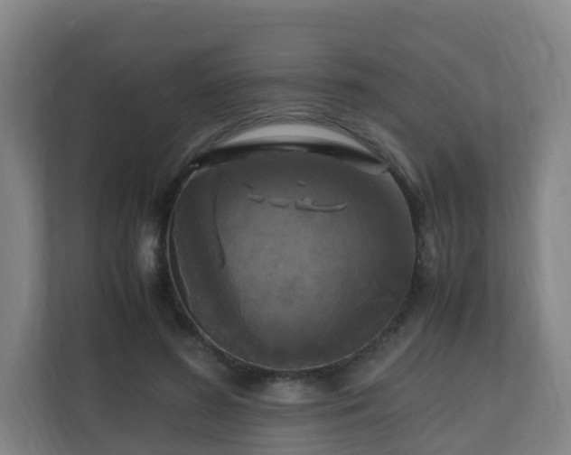 X0000110990596200906261451