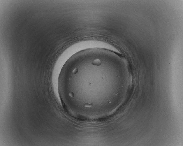 X0000110990599200906261451