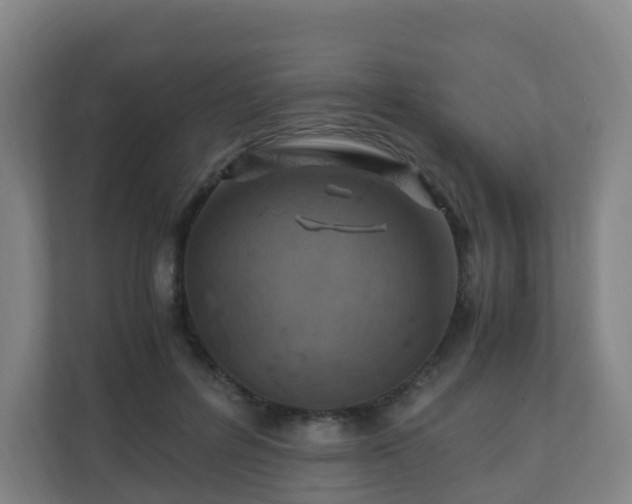 X0000110990600200906261451