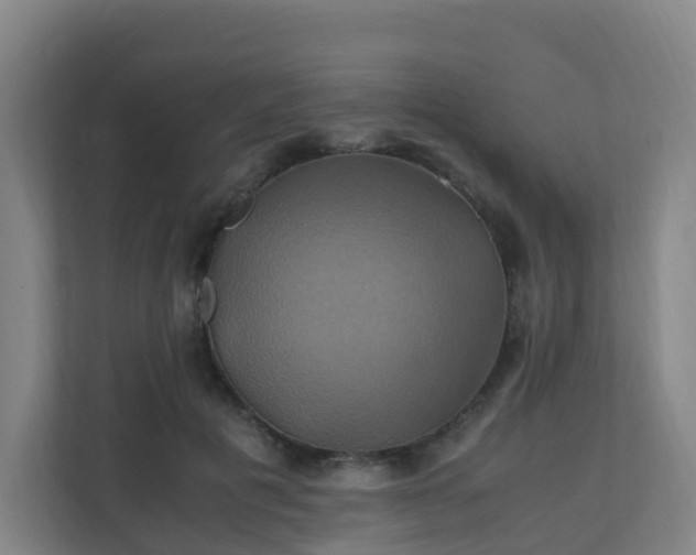 X0000110990601200906261451