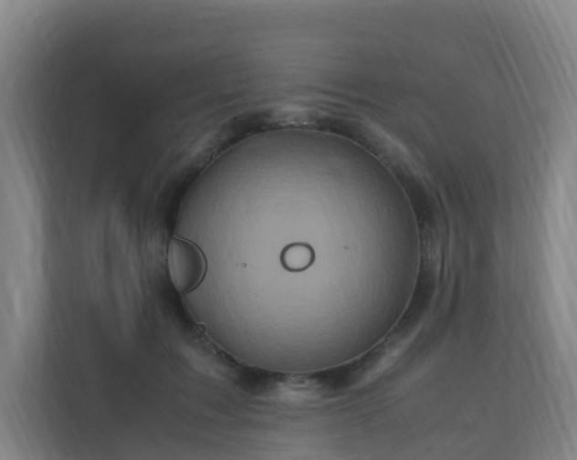 X0000110990603200906261451