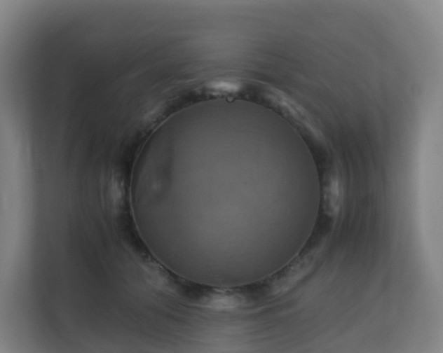 X0000110990608200906261451