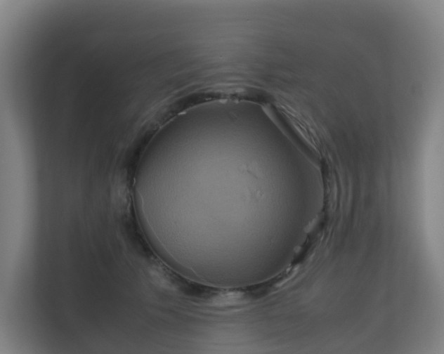 X0000110990609200906261451