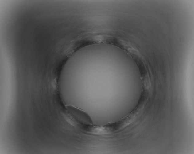 X0000110990611200906261451