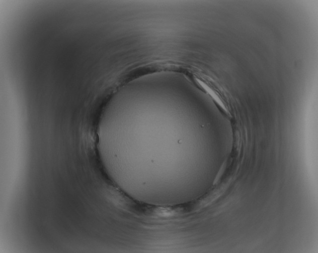 X0000110990613200906261451