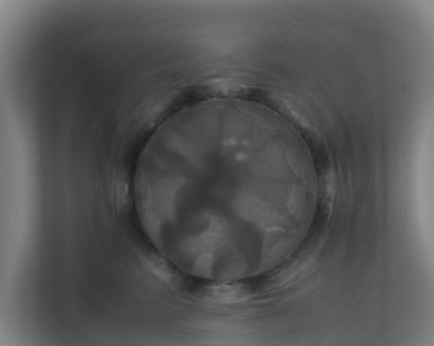 X0000110990615200906261451
