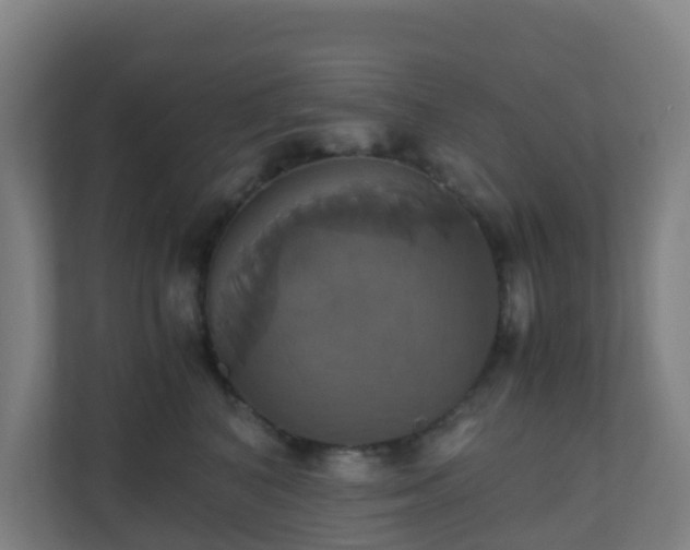 X0000110990616200906261451