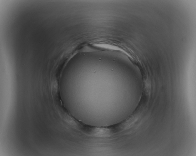 X0000110990617200906261451