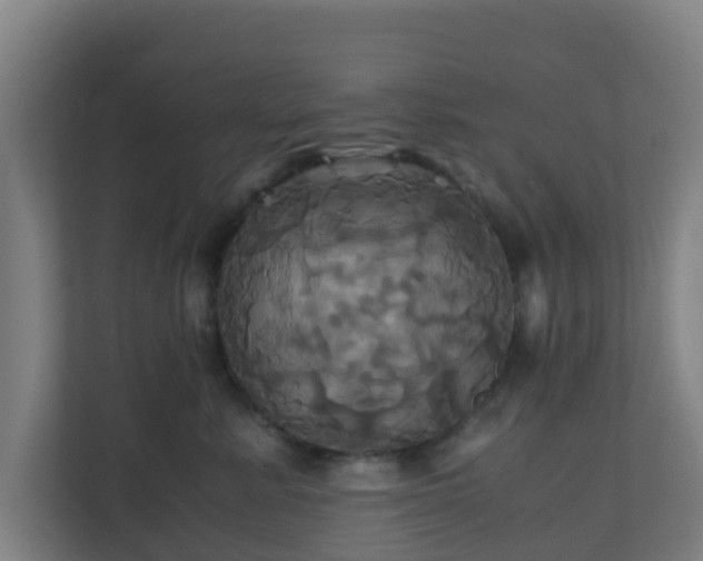 X0000110990619200906261451