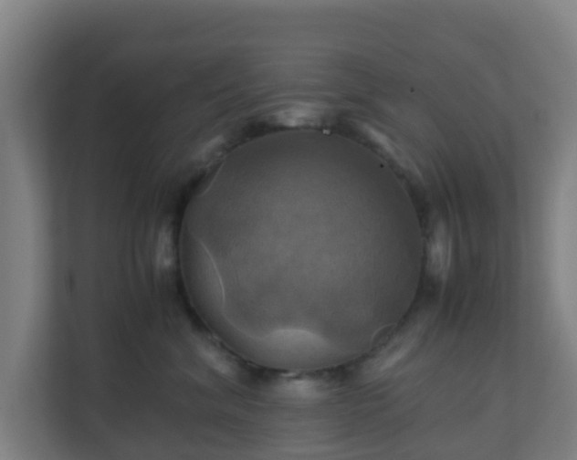 X0000110990620200906261451