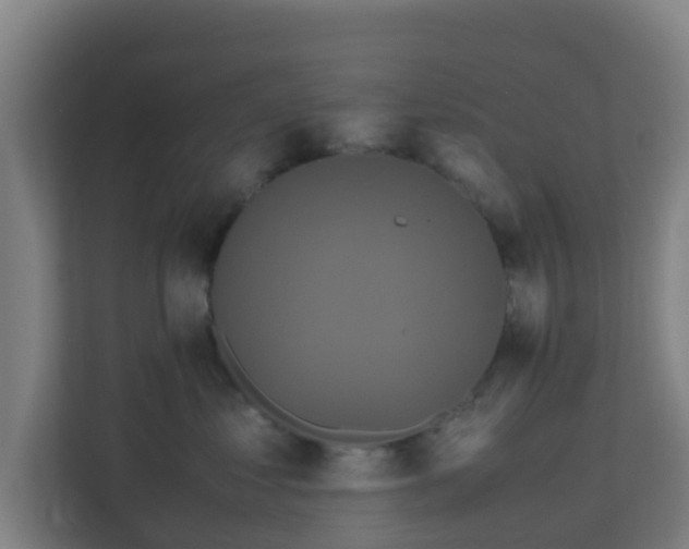 X0000110990621200906261451