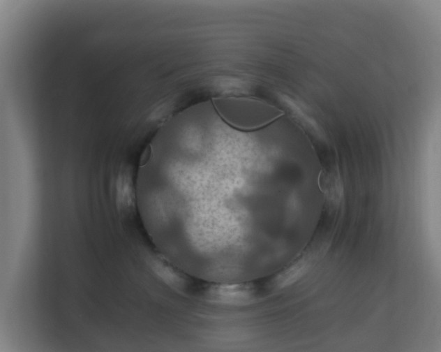 X0000110990622200906261451