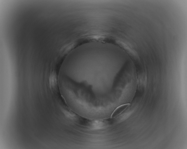 X0000110990623200906261451