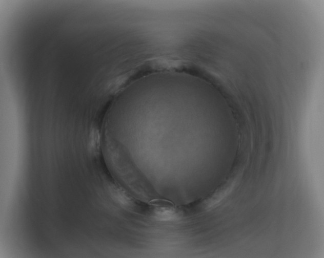 X0000110990624200906261451