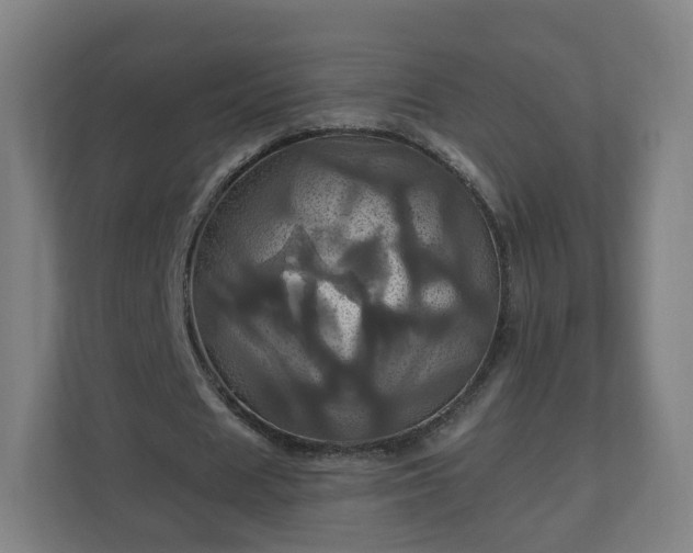 X0000110990625200906261450