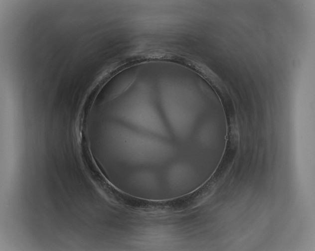 X0000110990626200906261450