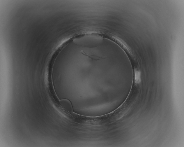 X0000110990627200906261450