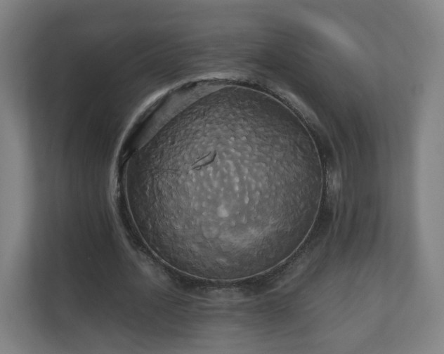 X0000110990628200906261450