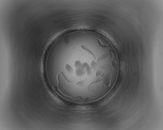 X0000110990629200906261450