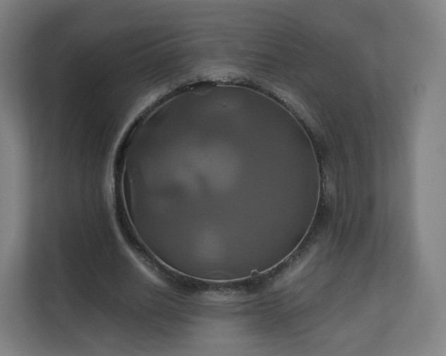 X0000110990630200906261450