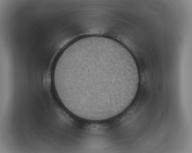 X0000110990632200906261450